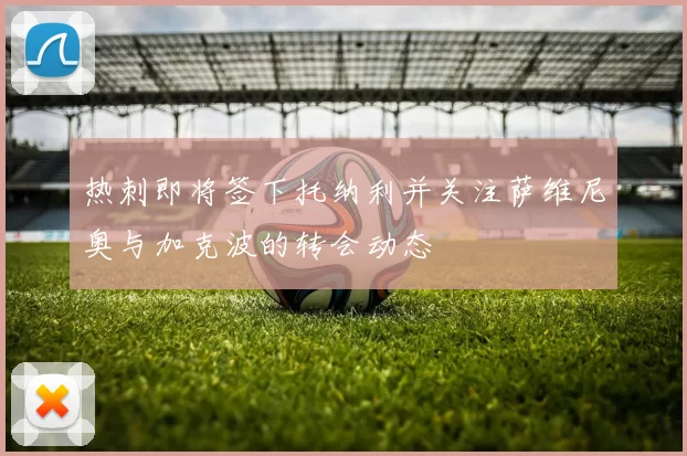 热刺即将签下托纳利并关注萨维尼奥与加克波的转会动态